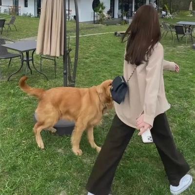 旅途中的日子 剧照3